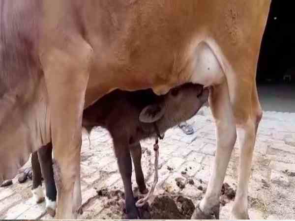 'लोगों को मिलेगी प्रेरणा'