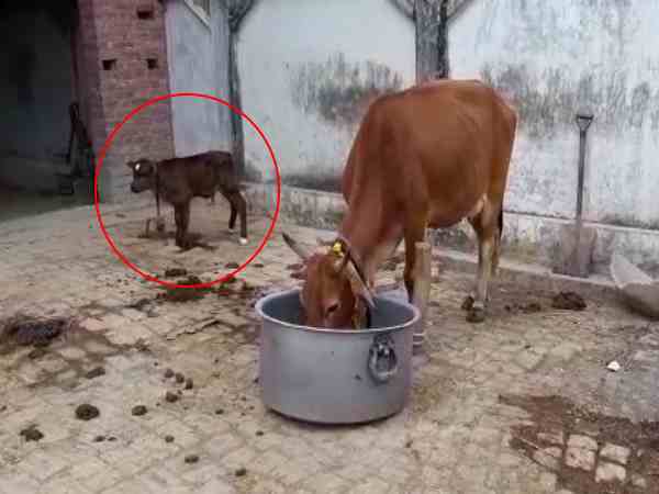 25 हजार लोगों के भोजन की व्यवस्था