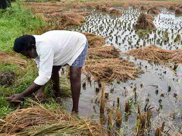 आखिरकार मुद्दा बनने में कामयाब रहे किसान