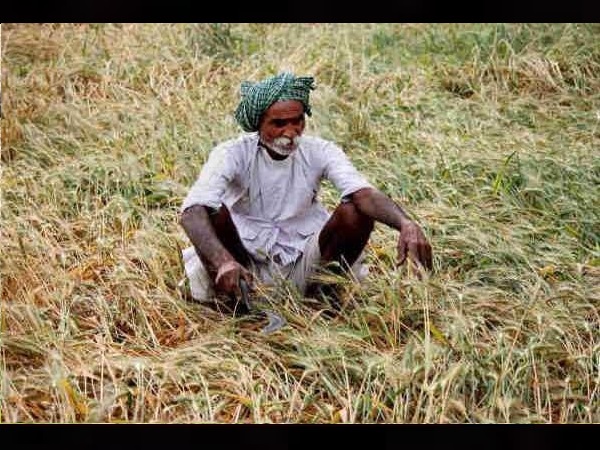 गुजरात के किसान अमीर हैं या कर्जदार हैं गुजरात के किसान अमीर हैं या कर्जदार हैं