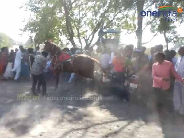 Horse Dance at Indian Wedding marriage Ceremony Horse Dance at Indian Wedding marriage Ceremony