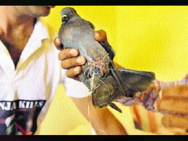 अहमदाबाद में ऐसे हादसे आए सामने