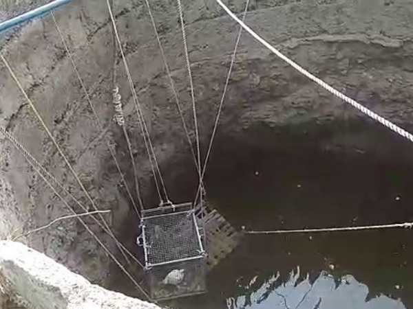 मुर्गे को पिंजरे के अंदर डाला