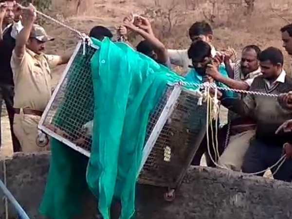 तेंदुए को बाहर निकाला गया