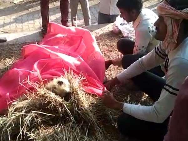 इसने निभाया बेटे का फर्ज