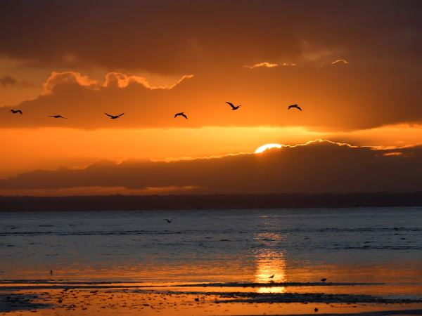 सुबह के ये लक्षण बहुत कुछ कहते हैं...