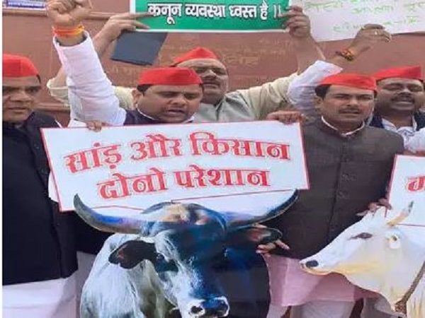 सांड को लेकर प्रदर्शन के दौरान एक सपा विधायक बेहोश