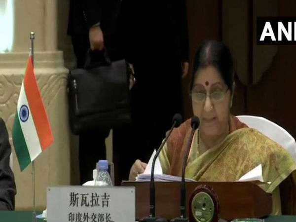  आतंक के खिलाफ बोलीं सुषमा