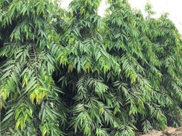 व्यवसाय में होगा फायदा व्यवसाय में होगा फायदा