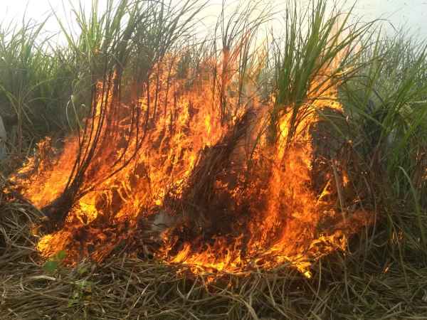 नहीं दिया गन्ने का बकाया पैसा