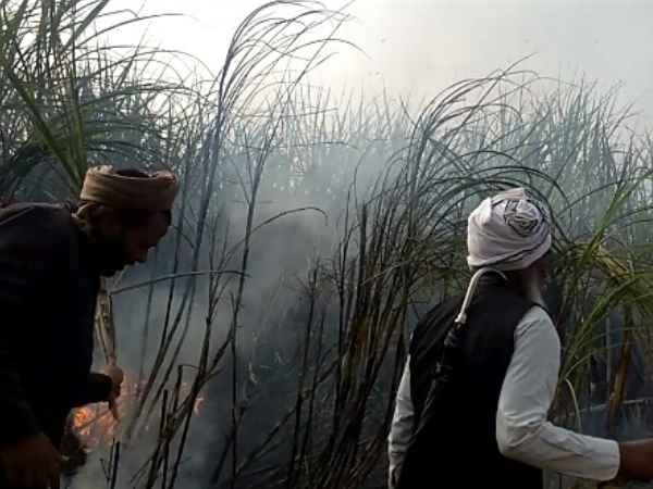 पूर्व मंत्री ने किसानों को समझाने का प्रयास