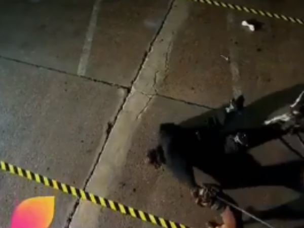 कुत्ते ने किया भारती पर हमला