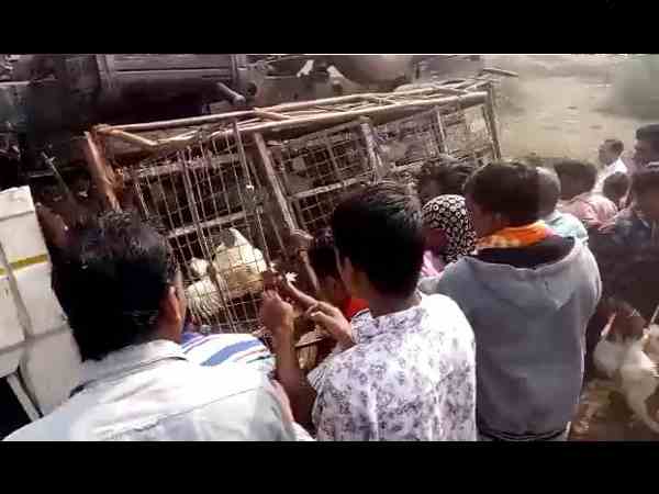 video viral of people looting cocks in moradabad video viral of people looting cocks in moradabad