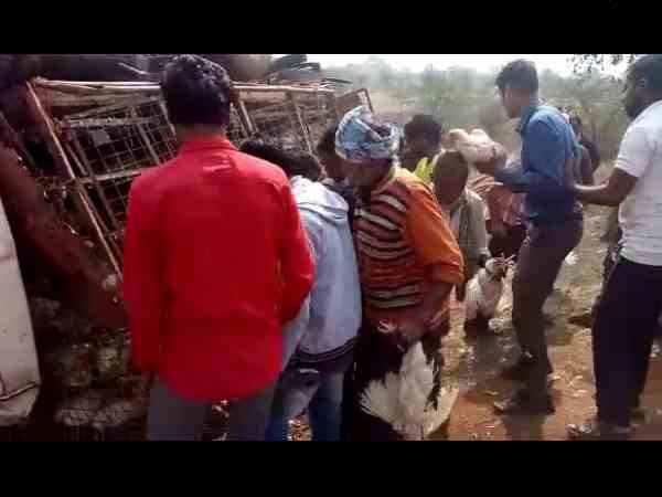 video viral of people looting cocks in moradabad video viral of people looting cocks in moradabad