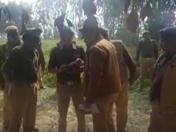 7 year old girl child killed in uttar pradesh hardoi