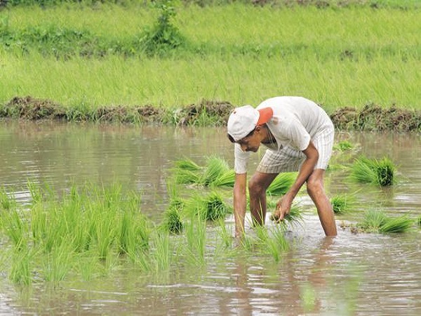 किसानों के लिए कई घोषणाएं की जा सकती हैं