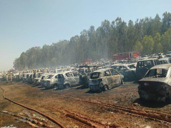 सूखी घास में जलती हुई सिगरेट बनी आग की वजह सूखी घास में जलती हुई सिगरेट बनी आग की वजह