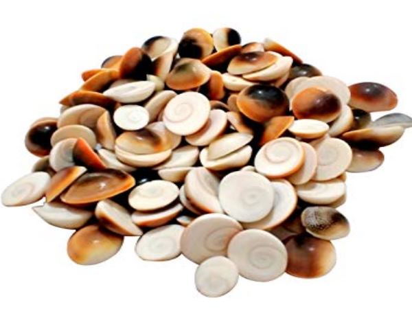 दूर होने लगेगा रोगी का रोग 