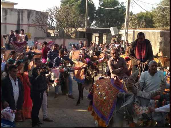 सजाए गए बैल, लगा जैसे कोई ​मूवी सेट लगा हो