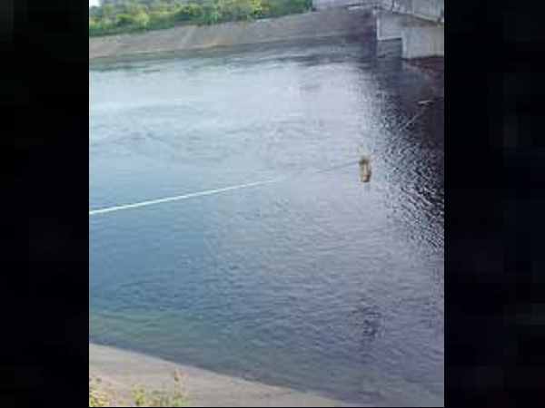 माता-पिता को संदेह हुआ, खोजने के लिए नहर के पास गए