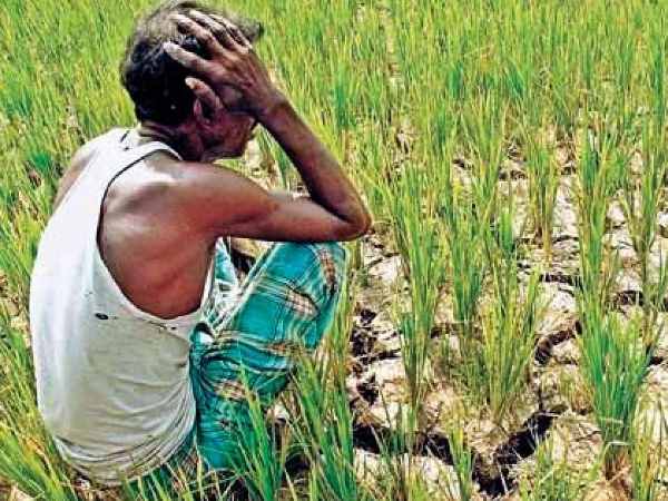 अगले सप्ताह तक सभी किसानों को मदद पहुंचाने का अनुमान