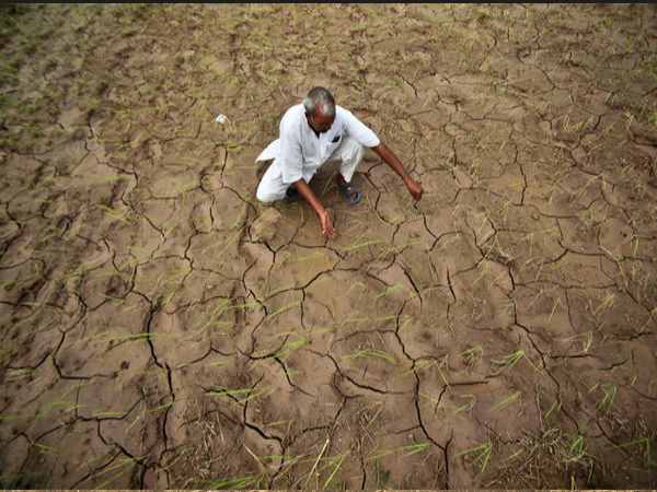 6,60,412 किसानों को सब्सिडी की रकम भेज दी गई