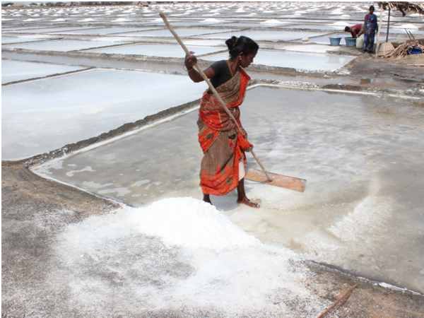 Gujarat government to buy solar power from salt pan workers