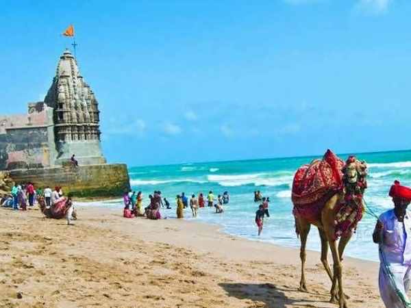 2017 में घटे, लेकिन इस नई साल में बढ़ गई संख्या