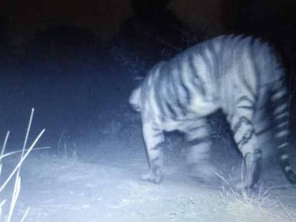 गुजरात और महाराष्ट्र के बीच बन सकते हैं गलियारे