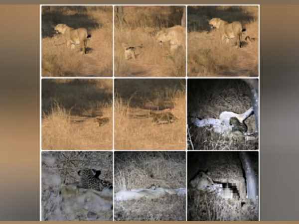 उसकी राह देखकर खड़ी रहती थी, फिर भी नहीं बच पाया