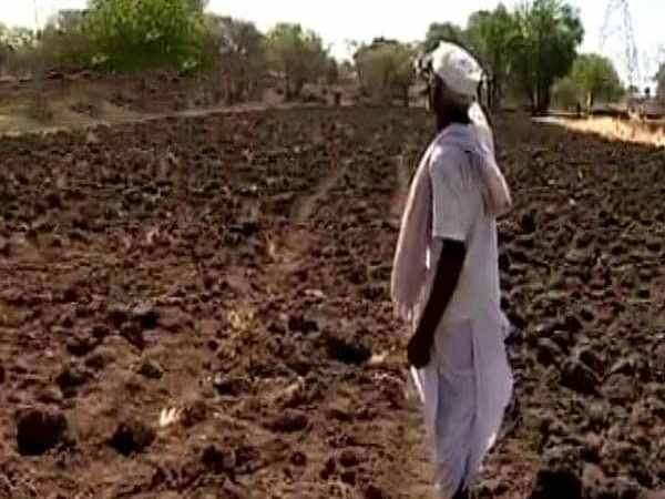 Junagadh, Rajkot, Gujarat, Gujarat farmers, Farmer immolates self, Crop failure, accidental death, Farmer Kills Self, Farmer, murder Self, Crop Loss, Gujarat Farmer, Crime, जूनागढ़, राजकोट, गुजरात, गुजरात के किसान, किसान, किसान ने जान दी