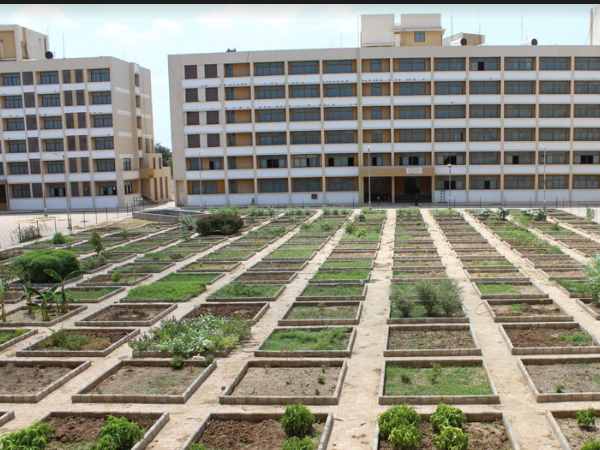 Latest News on State model ayurveda college hospital gandhinagar, gujarat