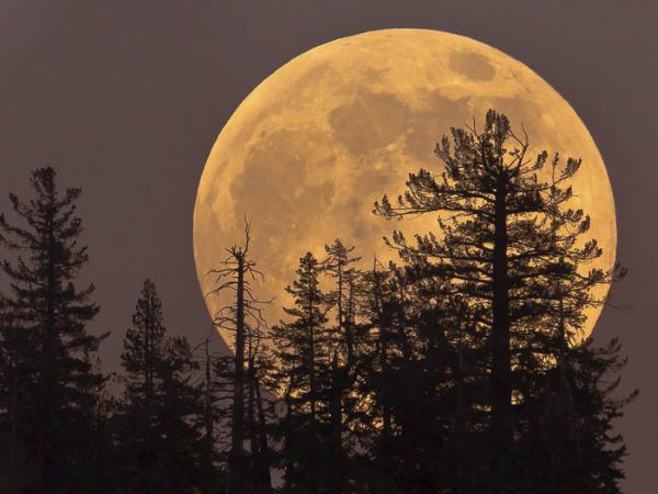 फुल मून के कारण समुद्र में हाई टाइड फुल मून के कारण समुद्र में हाई टाइड