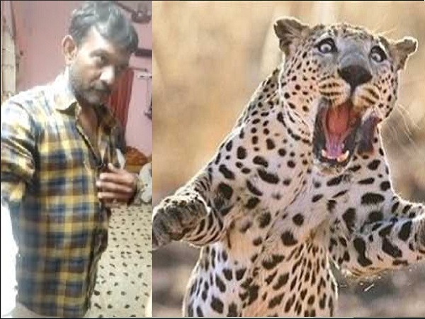 Rajkot, Gujarat, Panther, Panther attack, Leopard, panther attack human, राजकोट, गुजरात, तेंदुआ, किसान, तेंदुए, तेंदुए का हमला Rajkot, Gujarat, Panther, Panther attack, Leopard, panther attack human, राजकोट, गुजरात, तेंदुआ, किसान, तेंदुए, तेंदुए का हमला