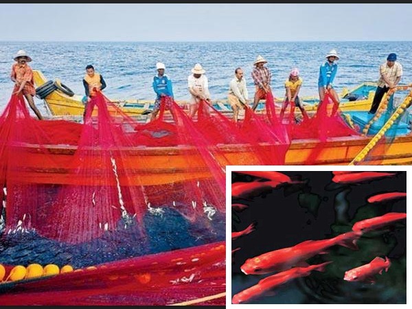 जानिए, क्या है लालपरी जानिए, क्या है लालपरी