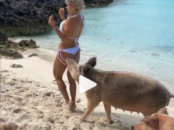 लेविस सफेद बिकनी पहनकर खूबसूरत पिग आईलैंड में पोज दे रही थीं