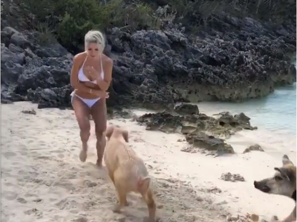  हजारों लोगों ने वीडियो पर किए फनी कमेंट 