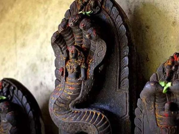 नाग दोष का निवारण कैसे करें नाग दोष का निवारण कैसे करें