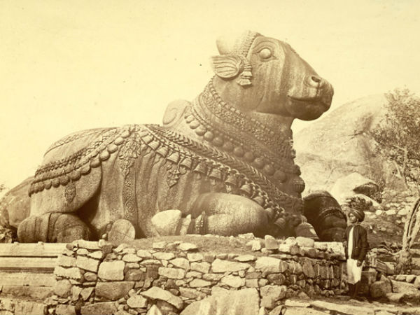 नंदी भगवान