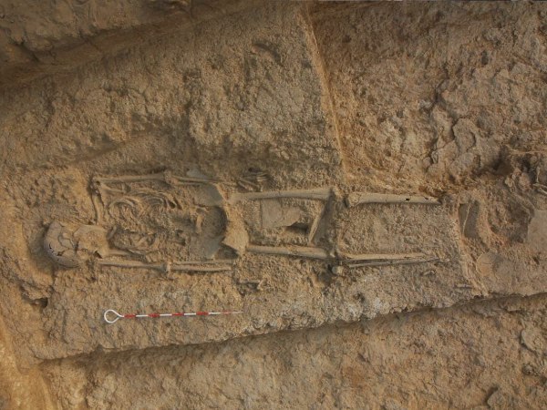 छह फुट लंबा मानव कंकाल मिला 