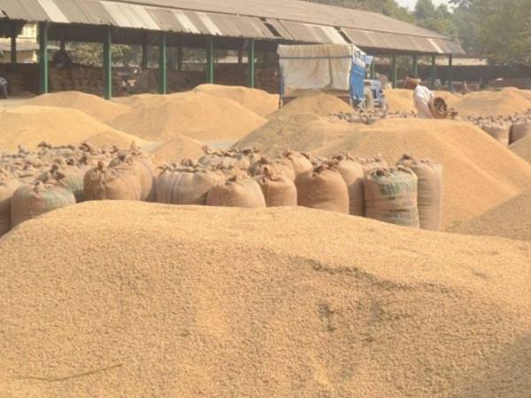 हाथ-पैर बांधकर तालाब में फेंका