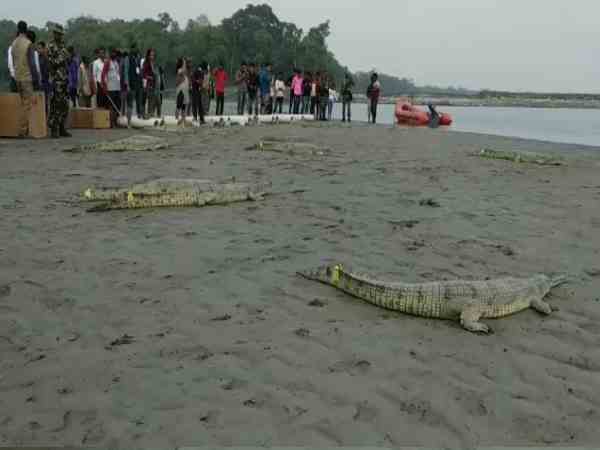 पर्यटकों को करेंगे आकर्षित