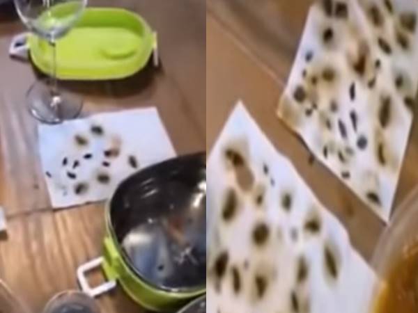 Chinese Woman Finds 40 Dead Cockroaches In Her Online takeaway meal, video viral Chinese Woman Finds 40 Dead Cockroaches In Her Online takeaway meal, video viral