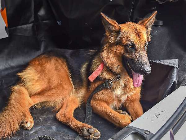 पुलिस में दर्ज कराई शिकायत पुलिस में दर्ज कराई शिकायत