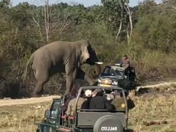 सूंड की गाड़ी पलटने की कोशिश सूंड की गाड़ी पलटने की कोशिश