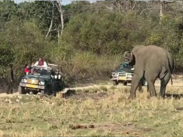 नहीं हुआ कोई हताहत नहीं हुआ कोई हताहत