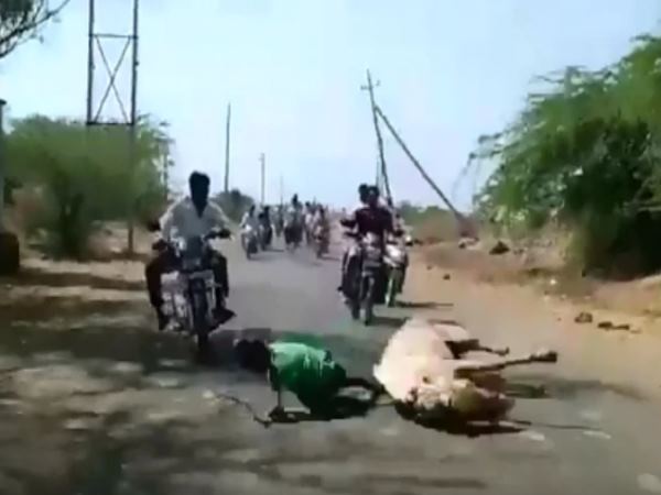 क्या हुआ जब घोड़े ने बच्चे को गिरा दिया?