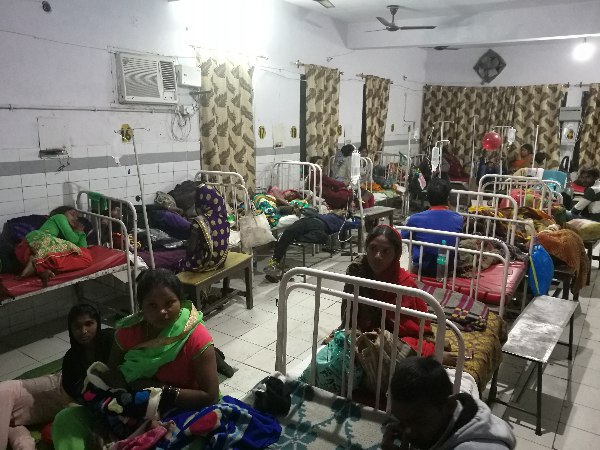 nine children admitted to hospital after eating jatropha fruit nine children admitted to hospital after eating jatropha fruit