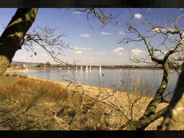 राज्य के 203 सिंचाई बांधों में जल संग्रहण