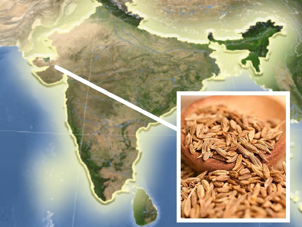 2.91 लाख टन के उत्पादन के साथ नंबर-1 रहा था गुजरात